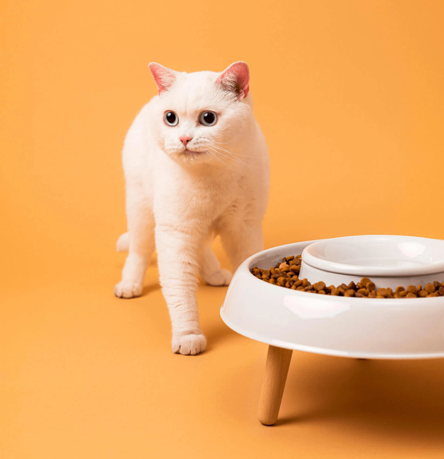 EateeBowl Miska